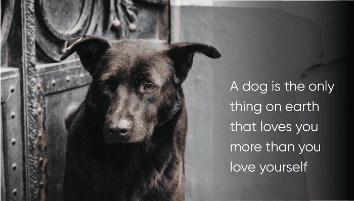 Choose the Right Image for Your Presentation | Maurizio La Cava