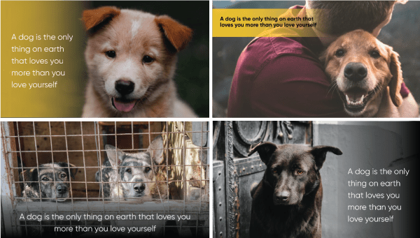 Choose the Right Image for Your Presentation | Maurizio La Cava