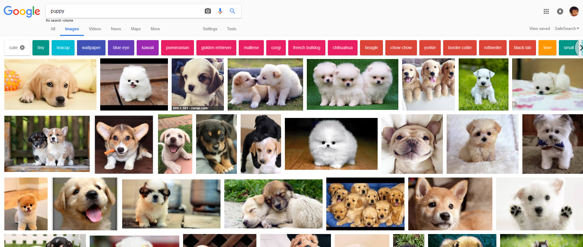 pictures for a powerpoint presentation