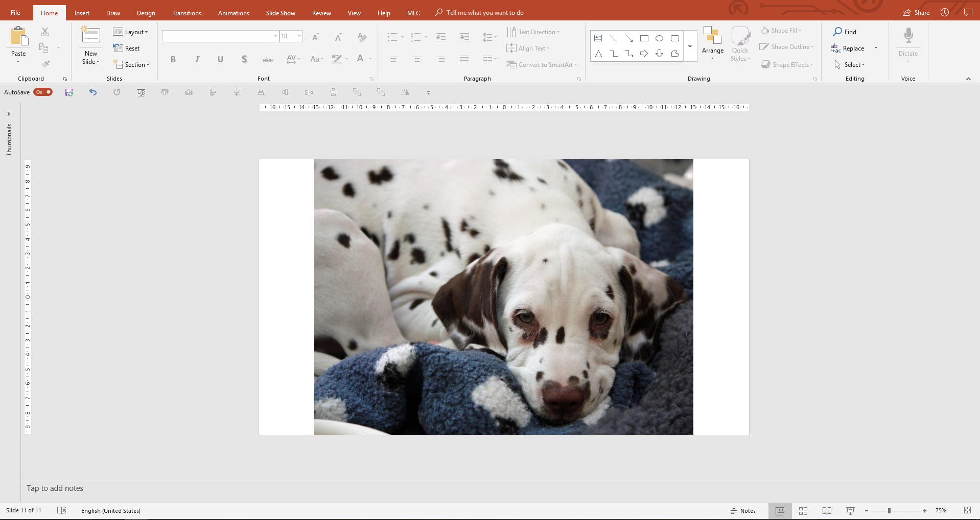 Free images for PowerPoint presentations