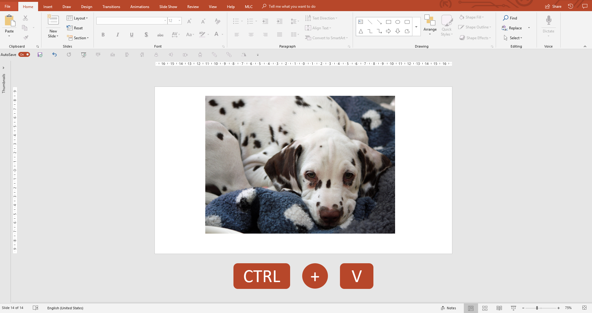 pictures for a powerpoint presentation