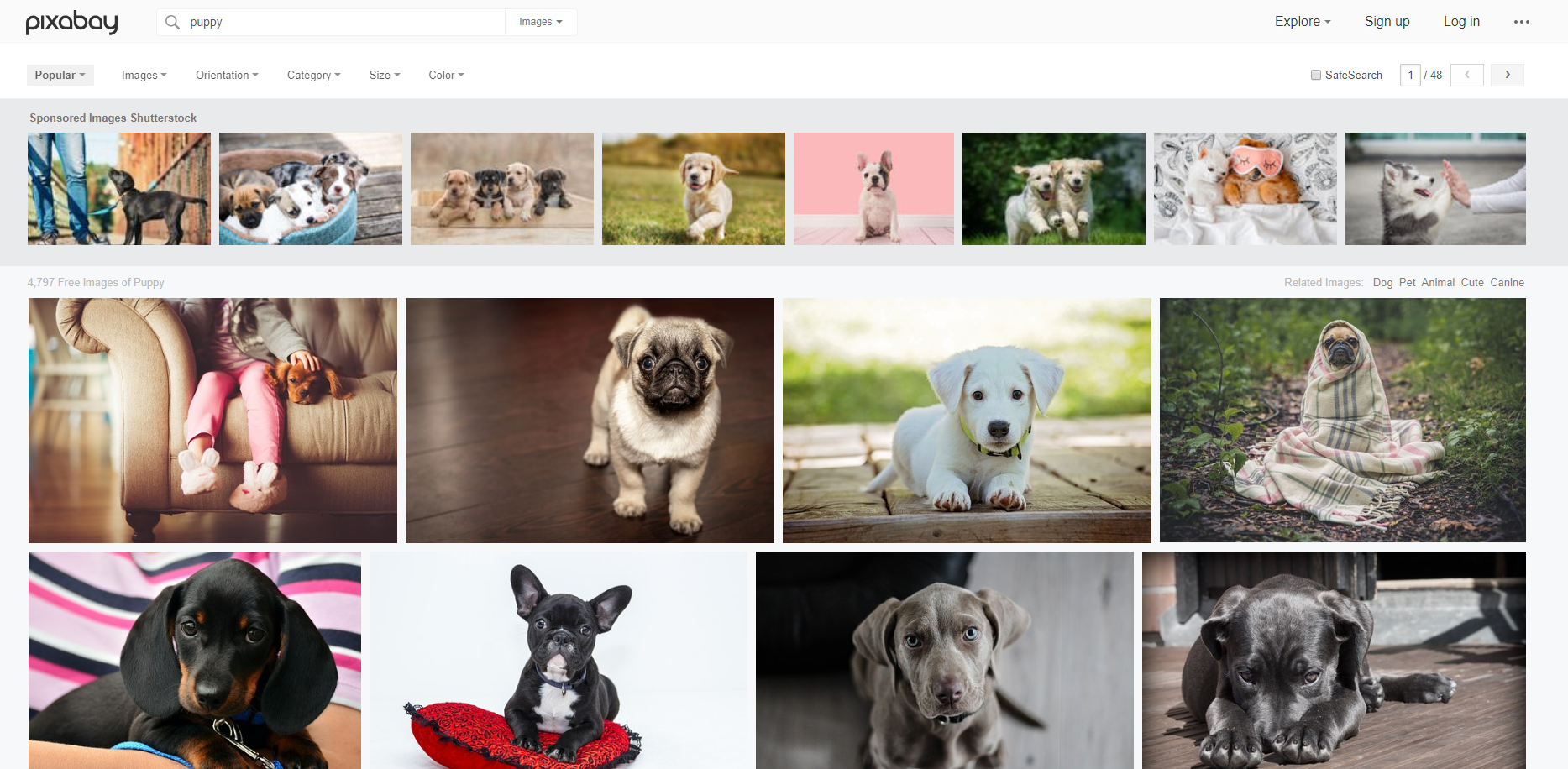 pictures for a powerpoint presentation