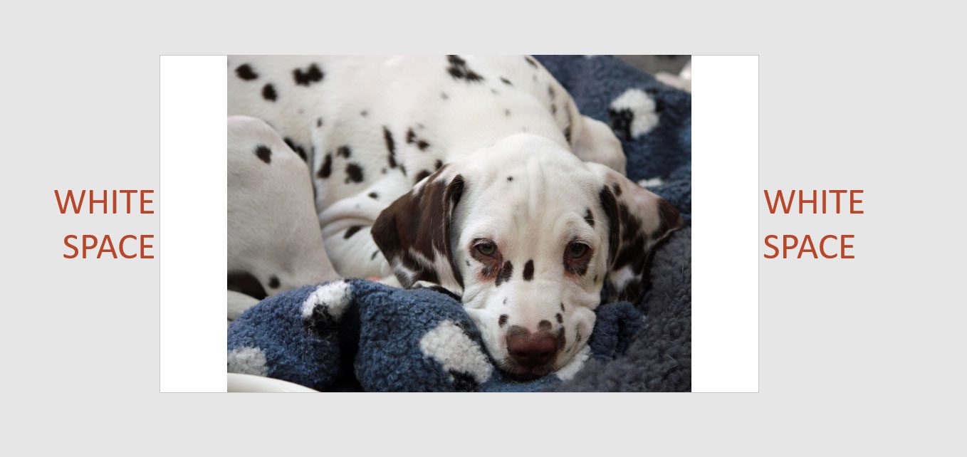 Proportional photo on a PowerPoint slide with white space on both sides
