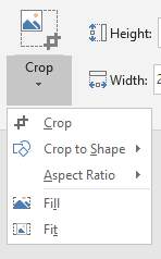 PowerPoint Crop menu showing Crop to Shape, Aspect Ratio, Fill and Fit