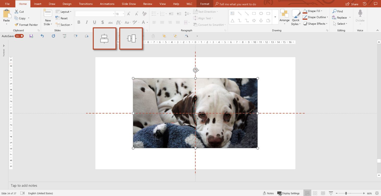 PowerPoint alignment guides centring a photograph on the slide